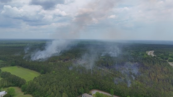 Prescribed burn in McClellanville, South Carolina