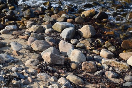 The rocky beach at Montauk Point.