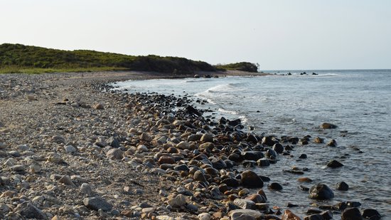 The rocky beach at Montauk Point.