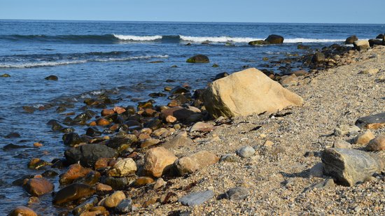 The rocky beach at Montauk Point.