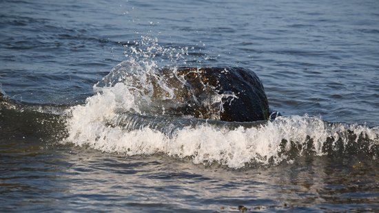 A wave splashes over a boulder in the water at Montauk Point.