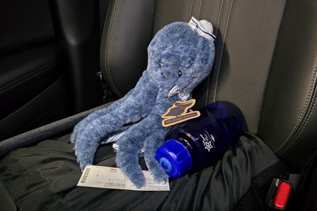 In the gift shop, I found a new octopus friend.  His name is Paul.  After acquiring him, I placed him in the HR-V for safekeeping.  Elyse especially loves Paul's little hat.