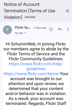 "Notice of Account Termination [Terms of Use Violation]"