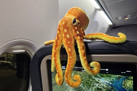 Woomy popped out for a moment at the end of the flight home while I was putting my computer away, and he told me exactly what he thought about the ride back.  Everyone's a critic...