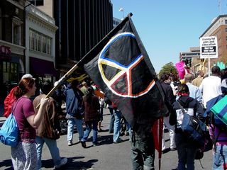One woman carried a flag with a large peace sign emblazoned on it.