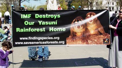 A printed banner discussing the environmental policies of the IMF.