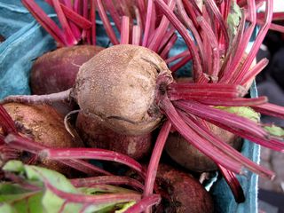 And then these are beets. I obviously have lived a sheltered life, because I never would have thought that beets looked like this in real life. I'm used to the kind that comes out of a can...