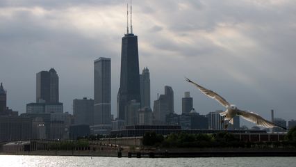 The bird in the lower right above is actually part of a larger photo of the skyline. I love this photo because of the bird, but I have no idea how I want to present it. Do I focus on the bird? Any ideas?