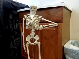 The day after Piratz, I had an appointment with my doctor. First thing I thought when I saw this skeleton was, "I'm a little teapot, short and stout. Here is my handle..." and then it needs to have the other arm positioned for a spout.