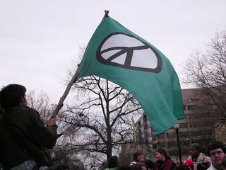 Waving a peace flag from the center of the fountain.