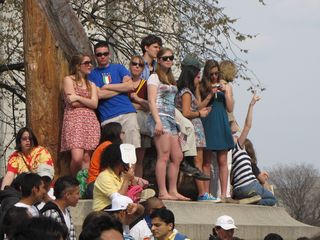 Bystanders watching from the sidelines, in this case, a ledge on the Natural History Museum.