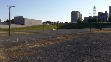 On July 26, my friend Matthew and I attended the opening of the Silver Line.  My car was the last one to leave the special VIP parking area outside Tysons Corner station after we had ridden all over the new line.