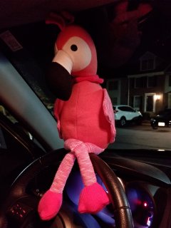 Larry posed for a couple of photos on the Soul's steering wheel after we got home from our trip.