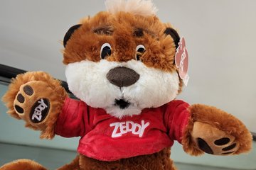 Zeddy, the mascot of Zellers, in plush form.  He was leaving Canada to come live with us in the States.