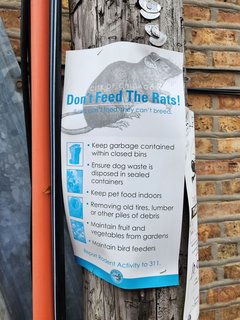 A city "Don't feed the rats!" poster posted on a utility pole in the alley.