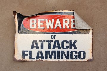 "Beware of Attack Flamingo" sign on the back door of Timeless Toys, one of the businesses facing Lincoln Avenue.