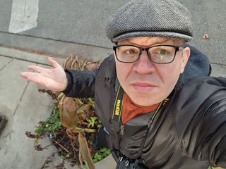 I took a selfie of my predicament, standing in the planters, making a face as if to say, "Well, now what do I do?"