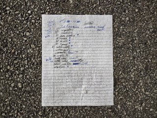 Shopping list that I found on the ground in the parking lot.  From the looks of it, this person was shopping for an event of some sort.