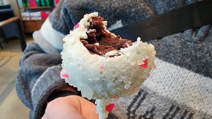 Elyse's cake pop at the Starbucks inside the Sears Tower, with a bite out of it.