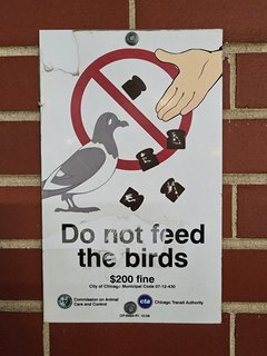 This sign outside of Davis station amused both Elyse and me.  The way that the little pieces of bread are drawn, it looks like French Toast Crunch cereal rather than slices of bread.