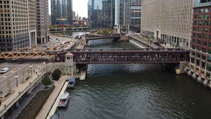 The bridge viewed from higher up and further out.