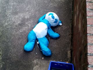 Mildly creepy stuffed animal on the patio of one of the other apartments in my building. As I understand it, a visitor brought this, and then one of their cats peed on it. Thus they put it outside to keep it from smelling up the house. However, it was outside for something like two weeks before finally being disposed of. Something about that smiling face and its otherwise looking pretty dead...