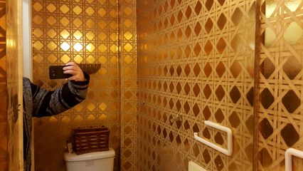 The house's half bath, with that awful gold wallpaper, was actually the best room in the whole house.