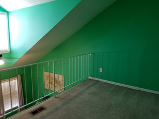 The master bedroom suite was, to put it charitably, colorful.