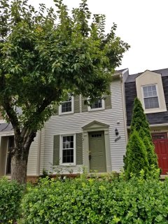 The house, with a massive tree in front.