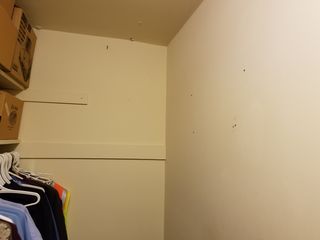 No more closet decor.