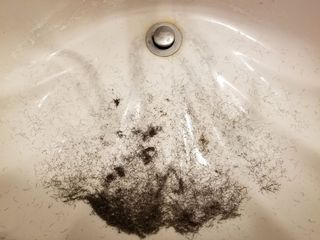 This was the beard in the sink after I finished shaving.  Rest assured that I was glad to be rid of it.