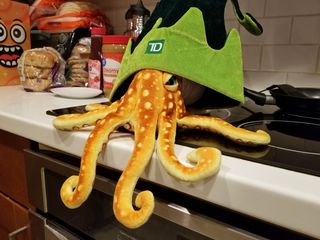 We also put Woomy in another hat, which we got from a TD Bank location in downtown DC.  Woomy was none too pleased about this.