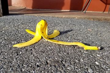 We later went to Frederick Coffee Company, where I had a banana.  The banana was pretty good, and then we put the peel on the ground (don't slip!) for a photo before disposing of it properly.