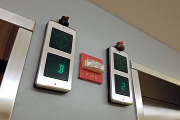 On February 18, while visiting a doctor in the medical office building at Montgomery General Hospital, I couldn't help but notice these rubber ducks on top of the elevator floor indicators.