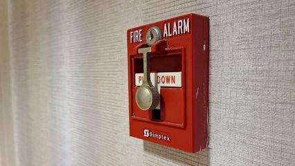 One thing that I found curious about our hotel in Goldsboro was the fire alarm system.