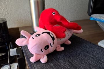 When I got back from breakfast, we spotted Hugh the lobster (whom Woomy had locked onto for a while in Hampton Roads) giving a tummy rub to Louie the shrimp.