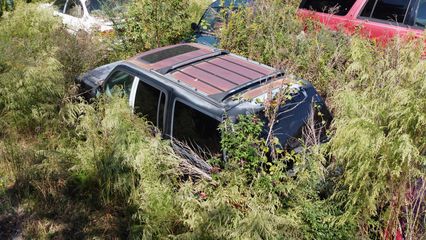 A black Ford Explorer, buried in the weeds.