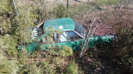 A green Toyota Celica coupe near the street.