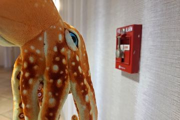 Woomy also took a moment to inspect the fire alarm that we had observed earlier, with the hammer and the missing glass.  His comment was, "I don't like that!"