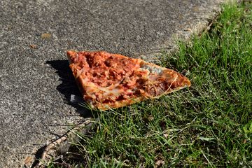 The pizza, discarded on the ground.