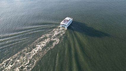 The Rudee Flipper, running a dolphin-watching tour.