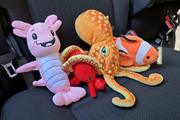 Louie, Hugh, Woomy, and David are in their seat and ready to go for a ride.  Woomy is holding onto Hugh, similar to what he did the year before.