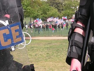 Meanwhile, beyond the police officers, the Nazis got into position at the west front of the Capitol.