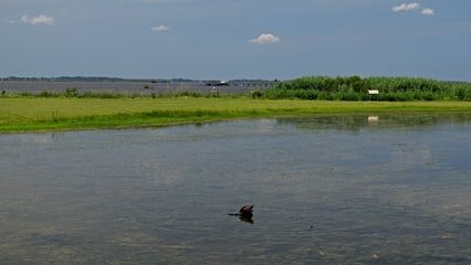 Pond in front of the Whalehead Club.