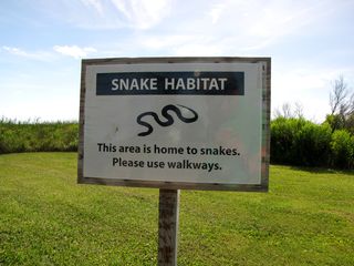 Raised walkway in order to hopefully keep patrons and snakes, as warned about on signs, on separate paths.