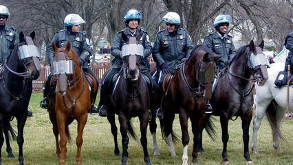 The Park Police officers were on horses.