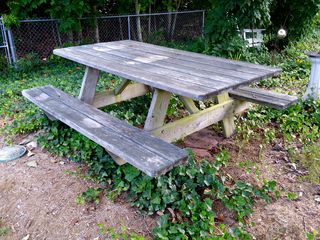 The picnic table in its usual location, prior to washing. Note the very dark color of the upper surfaces, and notice the markings from where the potted plants used to be. Would you ever want to eat at this table?