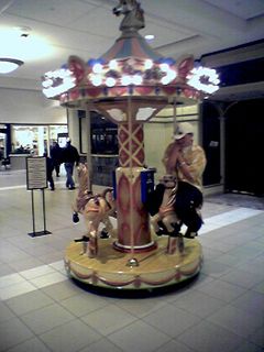 On February 26 at Fashion Square Mall in Charlottesville, a teen rides the merry-go-round while his friends watch off camera.