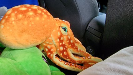 Woomy sits in his spot in the back seat of the Renegade, right next to David and Crabthulu.