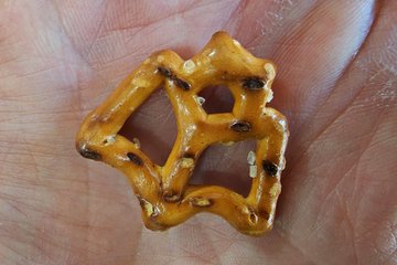 Bat-shaped pretzel that we got at the Harley Dealership.